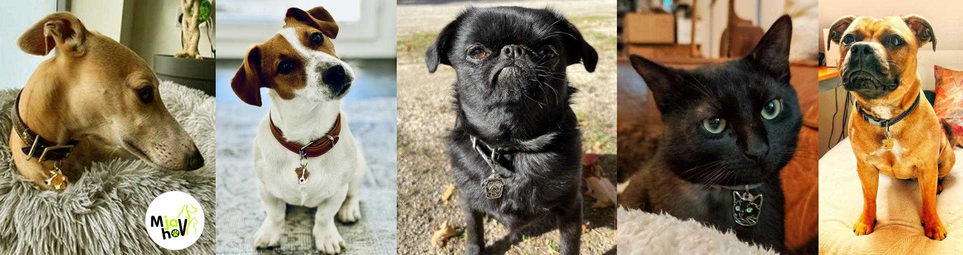 gravirani obeski za kužke in mucke